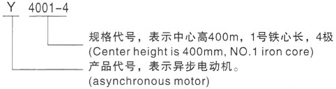 西安泰富西玛Y系列(H355-1000)高压YKK500-8A三相异步电机型号说明