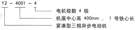 YR系列(H355-1000)高压YKK500-8A三相异步电机西安西玛电机型号说明